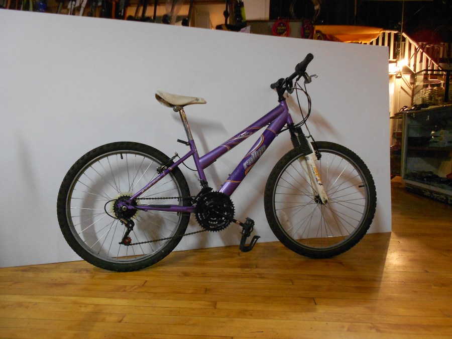 RALLYE INCLINE BICYCLE