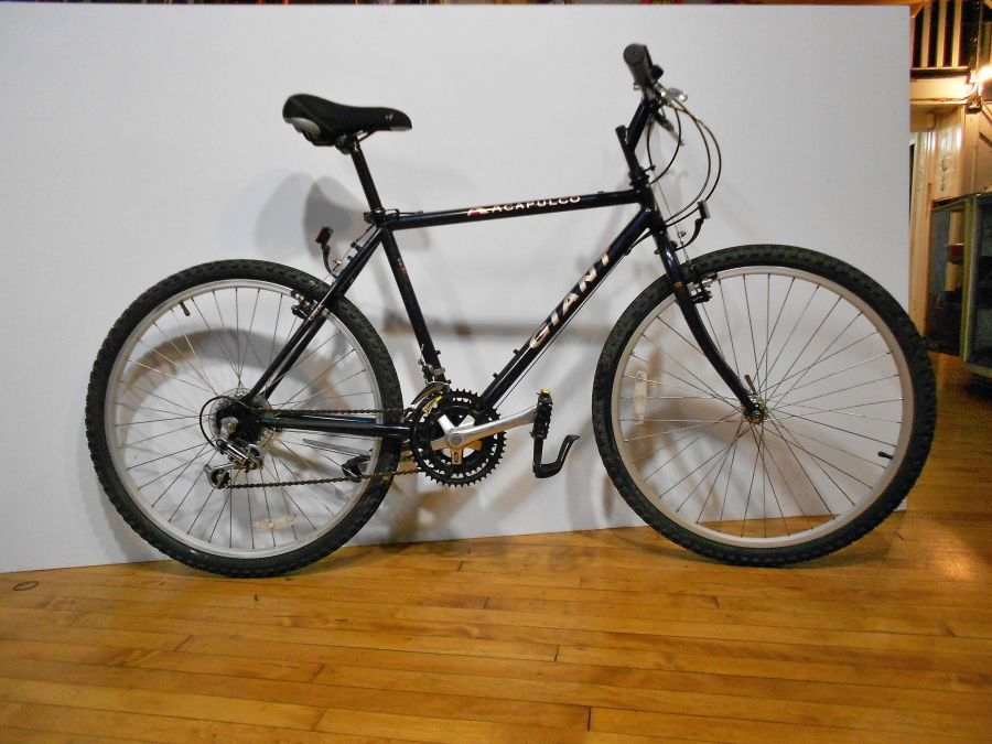 GIANT ACAPULCO 19" Frame $250