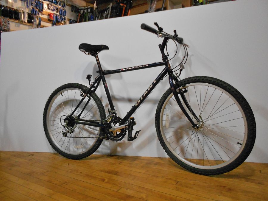 GIANT ACAPULCO 19" Frame