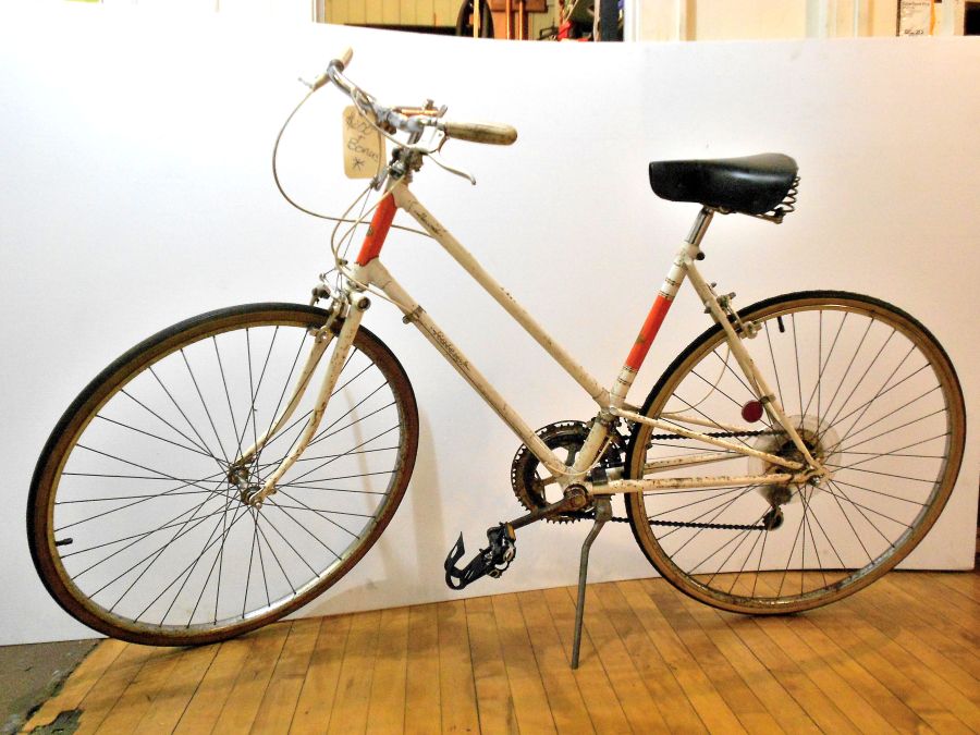 Small Womens Raleigh Upright