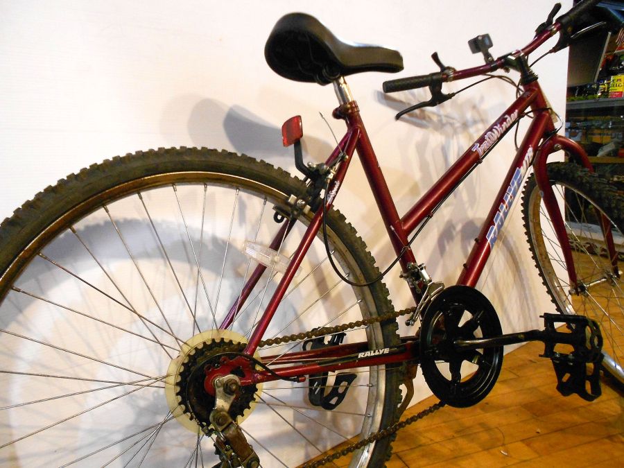 Rallye Trailwinder MTB