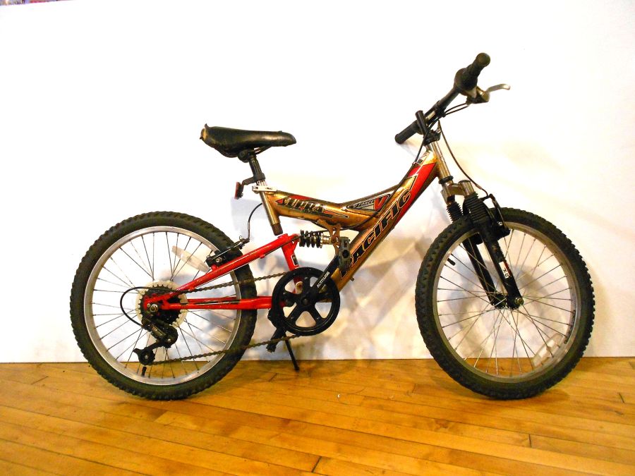 Fully Serviced Pacific Full suspension 20"