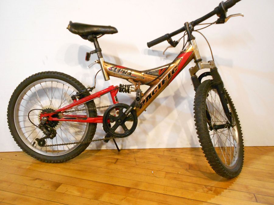 Fully Serviced Pacific Full suspension 20"
