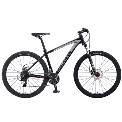 2014 KHS 650b-300 $700