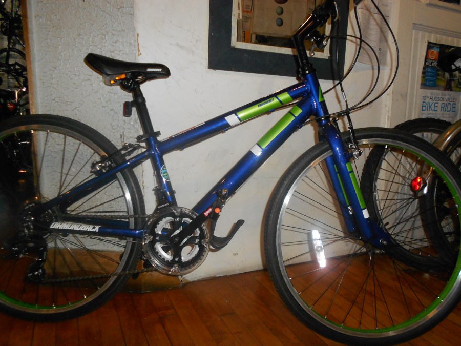 Diamondback Insight 24