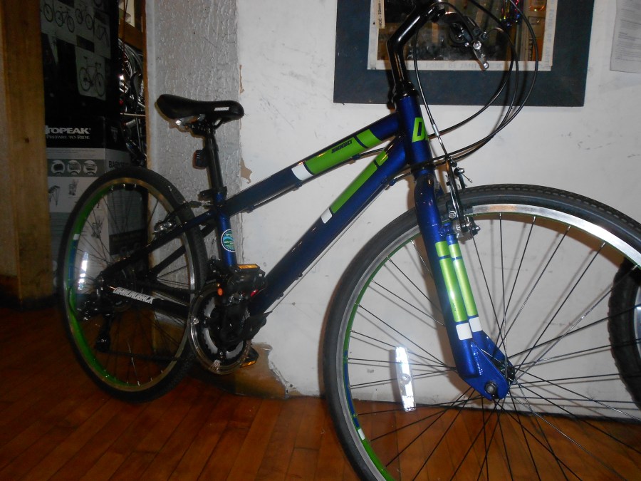 Diamondback Insight 24