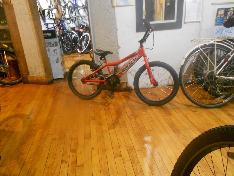 Raleigh MXR 20"